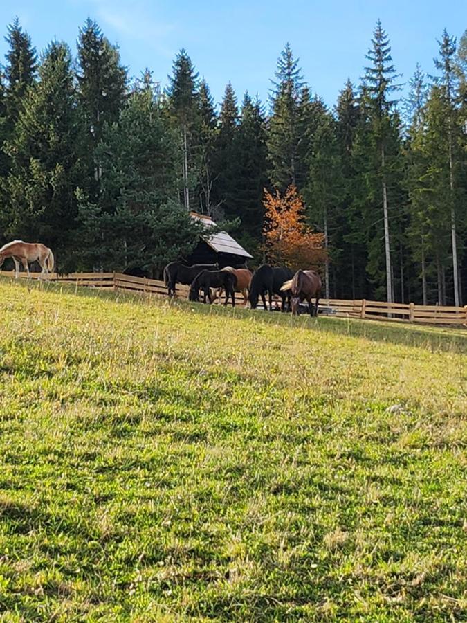 Urige Waldbienenhuette Lejlighed Diex Eksteriør billede